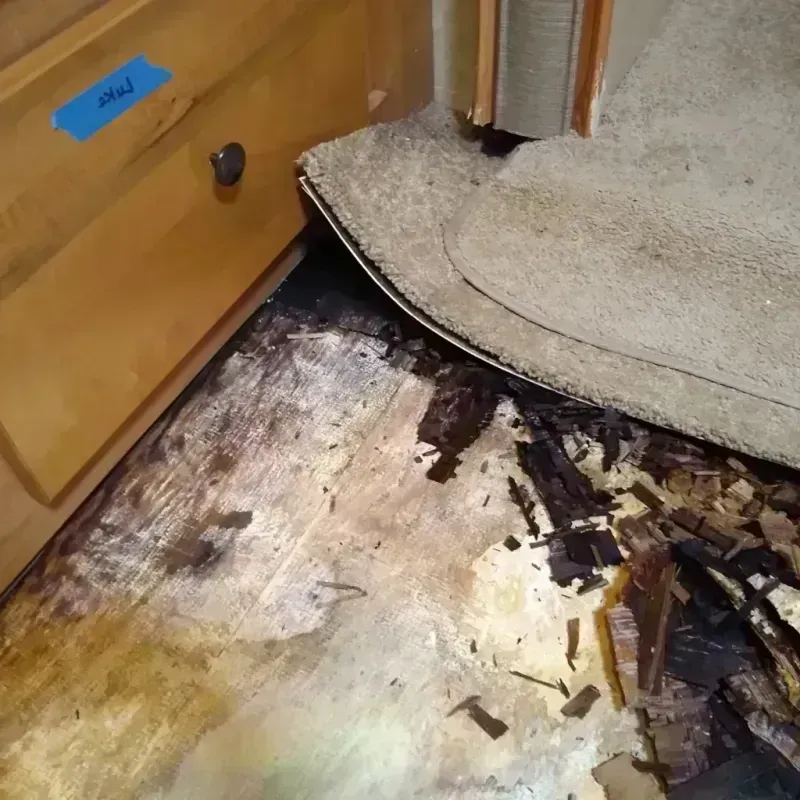 Wood Floor Water Damage in Hooper, UT